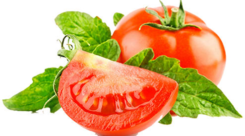 Tomato Design